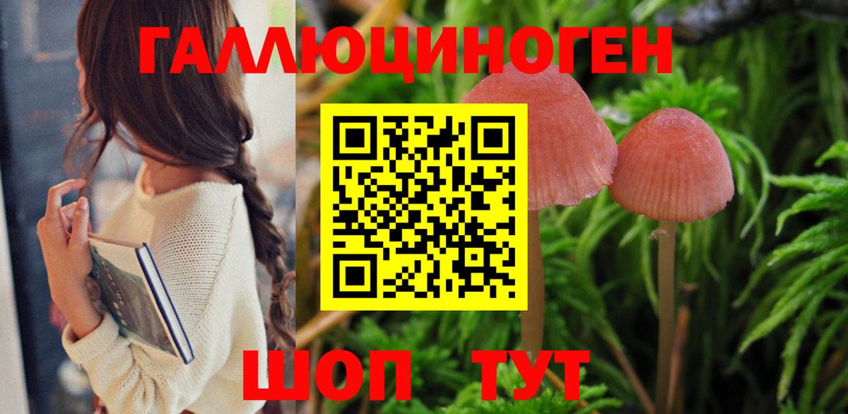 Гуково  Галлюциногенные грибы Magic Shrooms  Псилоцибиновые грибы Magic Shrooms  Вход с VPN 