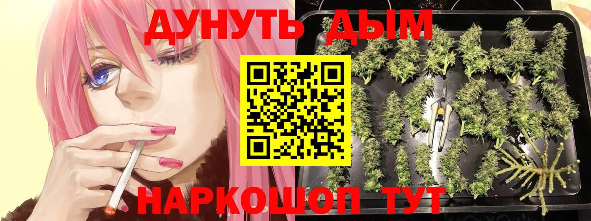 Шишки марихуана план Гуково